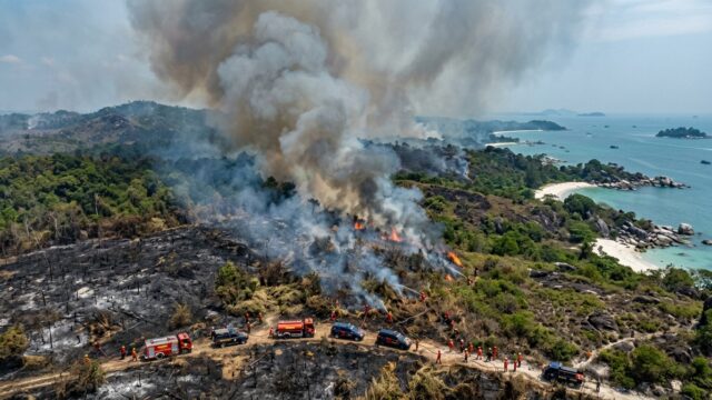 67 Kebakaran Hutan dan Lahan Landa Bangka Belitung 5 Bulan