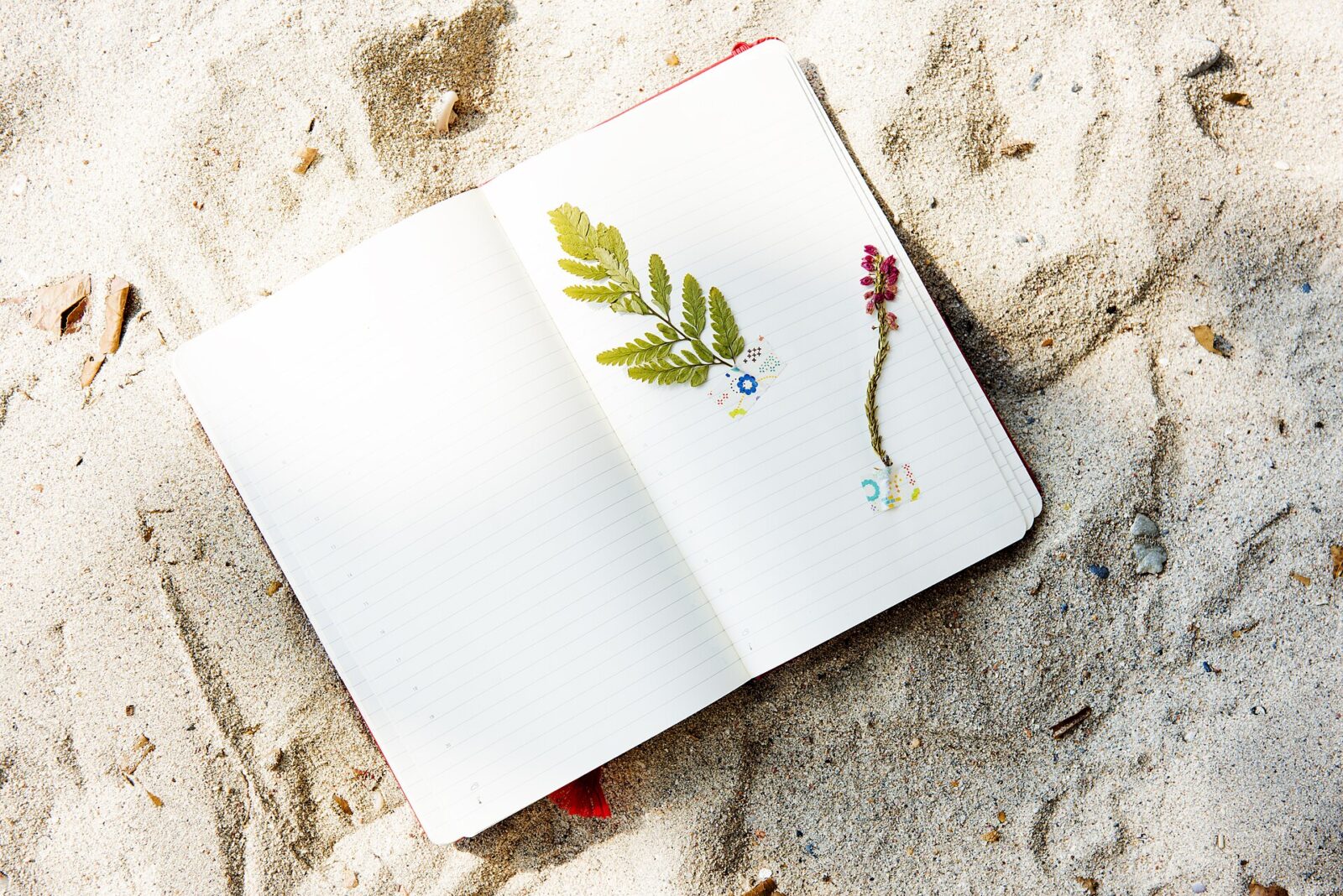 Open Notebook Is a Strong NotebookLM Alternative for Privacy-Minded Users