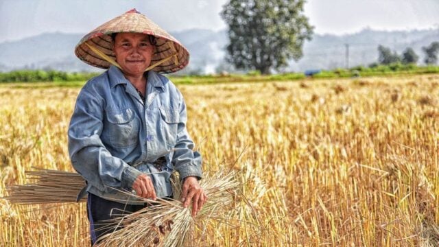 Menko Pangan Zulhas salurkan bantuan pupuk untuk petani di Sigi
