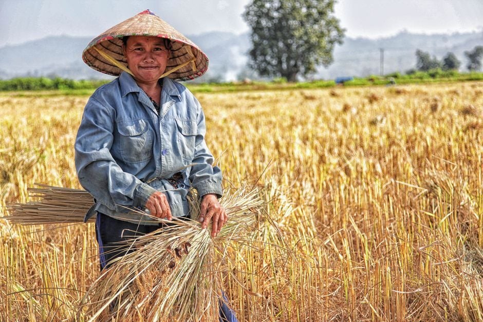 Menko Pangan Zulhas salurkan bantuan pupuk untuk petani di Sigi
