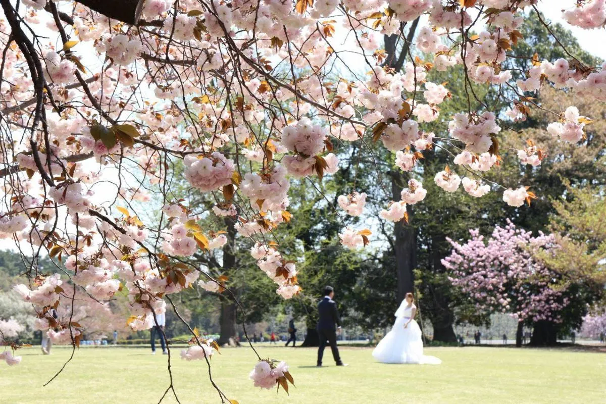 Shinjuku Gyoen