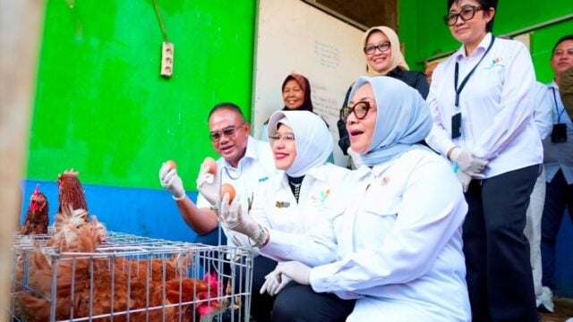 Menteri PPPA dan Kepala BPS Apresiasi Pemberdayaan PNM untuk Usaha Ekonomi Sirkular – Suara.com