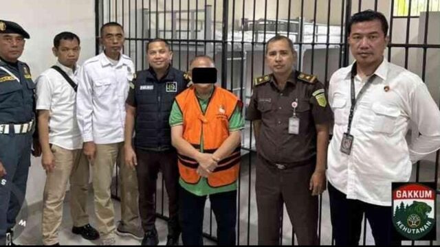 Kemenhut Buru Aktor Lain di Kasus Penyelundupan 3 Ton Sisik Trenggiling