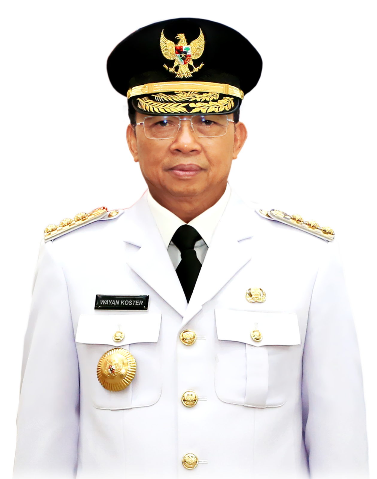 Gubernur Bali I Wayan Koster