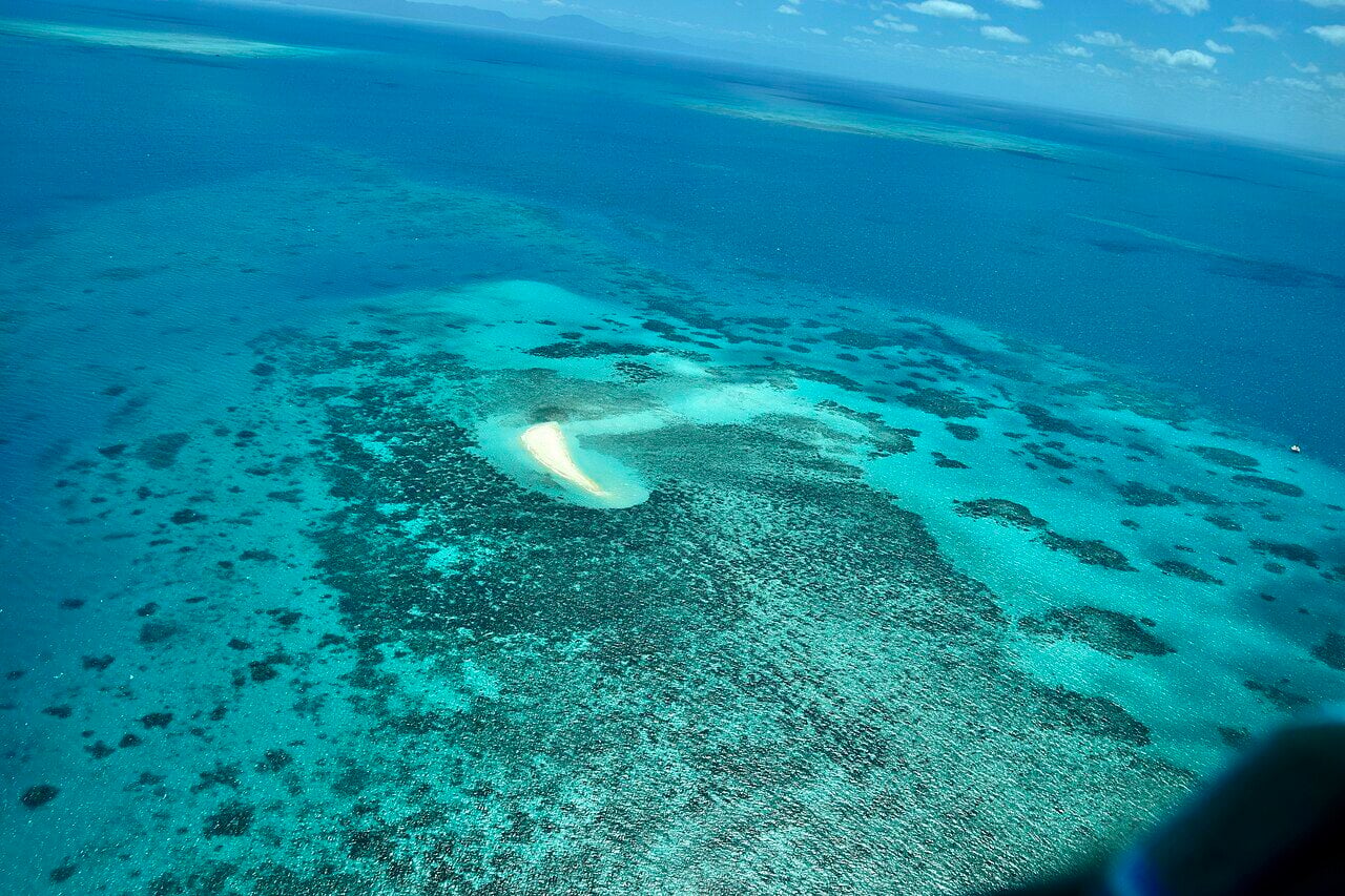 Great Barrier Reef lolos dari label terancam UNESCO