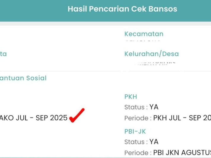 Daftar Bansos Online Lewat HP dengan e-KTP: Cara Lengkap