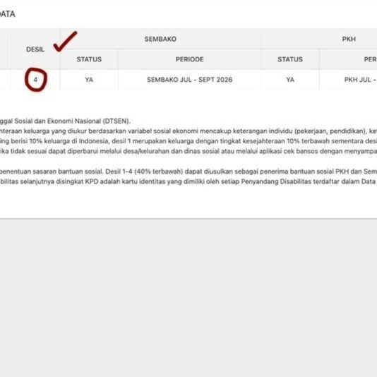 Cara Cek Desil DTSEN untuk Bansos PKH dan BPNT