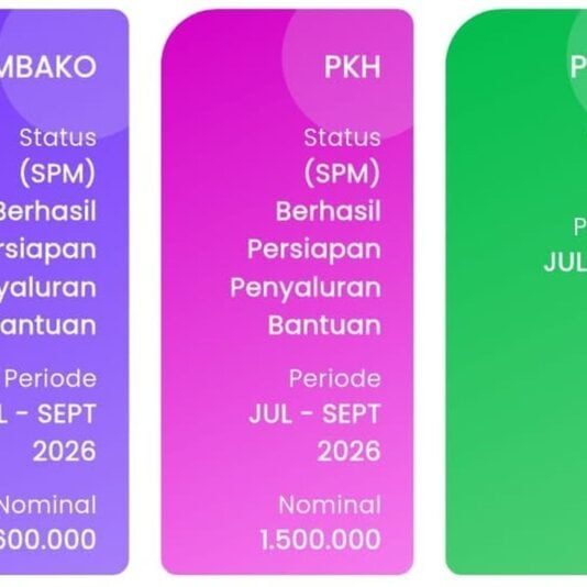 Cek Desil DTSEN: Cara Cek Status Bansos dengan NIK