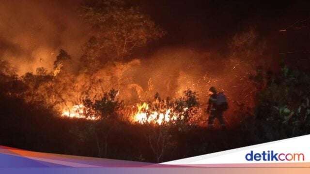 Anggota DPR Desak Kemenkeu Cairkan Rp 290 M untuk Tangani Karhutla Kalimantan