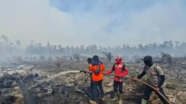 Dorong RUU Penanggulangan Bencana Karhutla, DPR Ingin Perkuat BNPB