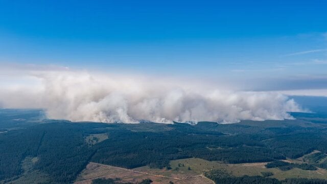 Kebakaran hutan Belgia meluas, 600 warga dievakuasi