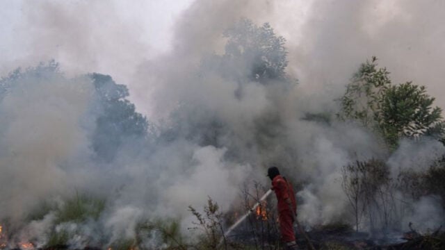 Polri Tetapkan 72 Orang Tersangka Karhutla, Brigjen Irhamni Ungkap Modus Pelaku