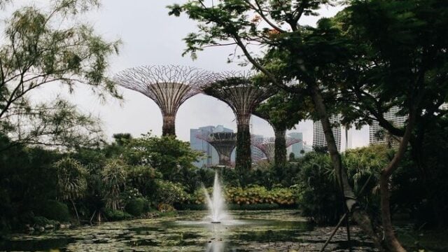 Singapura Kejar Hunian Publik, Pertahankan Ruang Hijau