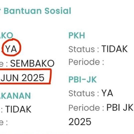 Cara Cek PKH 2026 Lewat HP di Cek Bansos Kemensos
