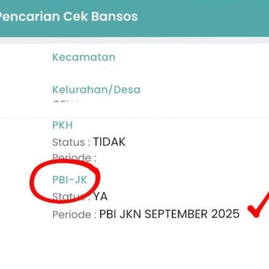 Cara Cek Kepesertaan BPJS Kesehatan Lewat HP dan Situs Resmi