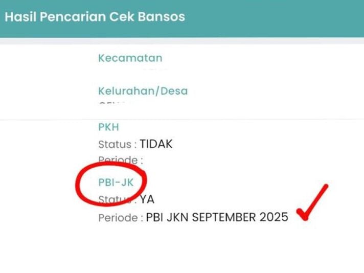 Cara Cek BPJS Aktif atau Tidak Lewat HP: Mobile JKN