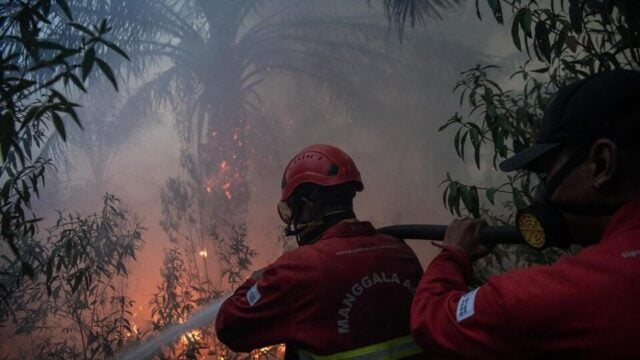 Karhutla Poso hanguskan 50 hektare lahan gambut dan kebun masyarakat