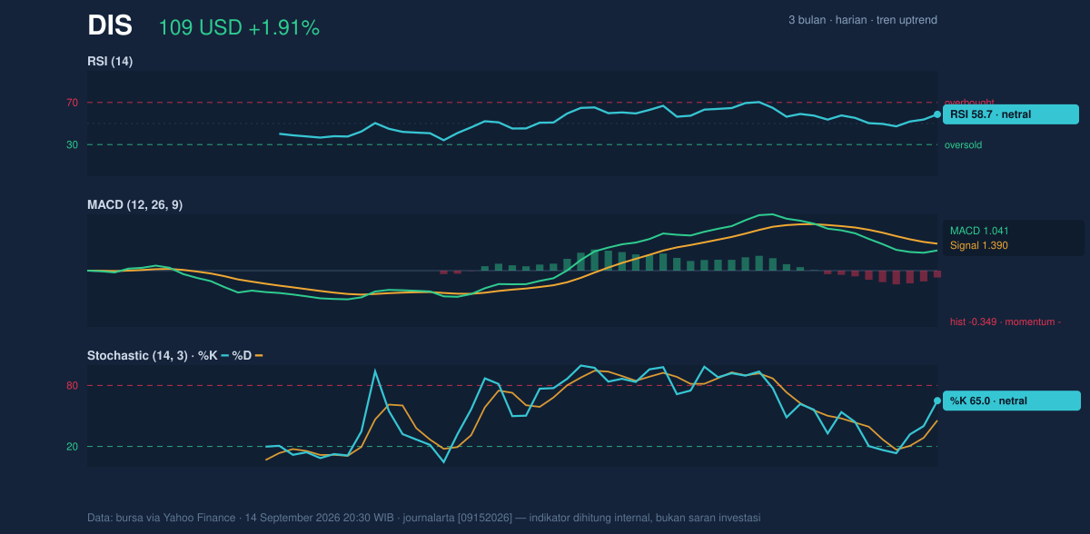 Momentum chart of DIS