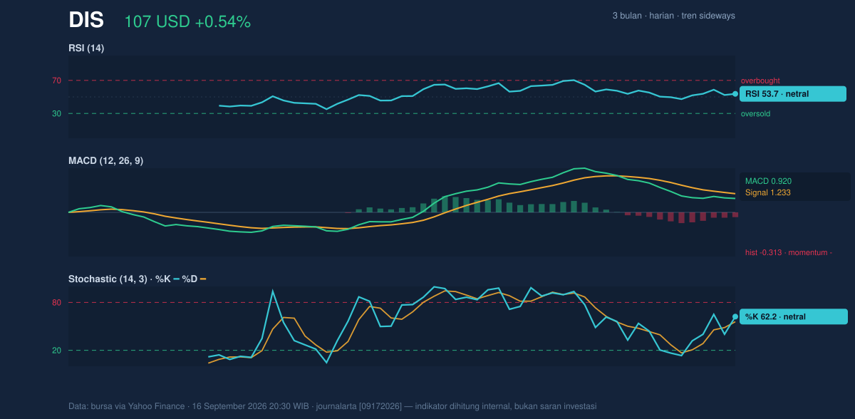 Momentum chart of DIS