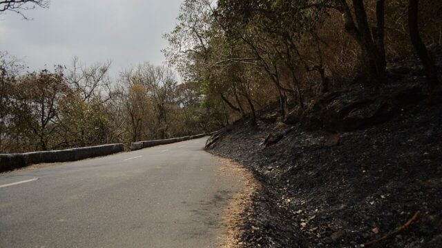 Indonesia Fire Pollution Linked to 3,560 Deaths in September 2026