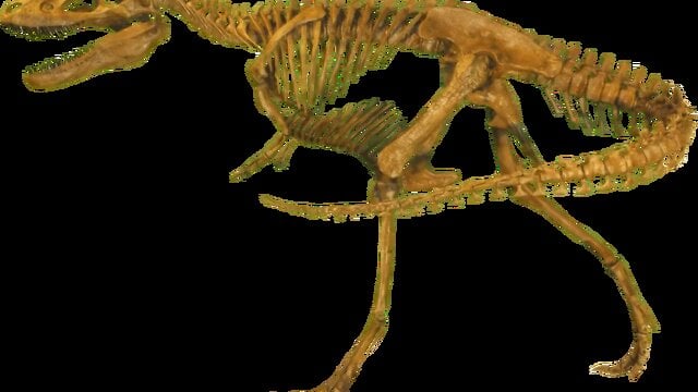 Rare Nanotyrannus skeleton sells for $47.3 million