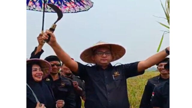 Partai Ummat Gelar Kegiatan Panen Raya Bersama Ratusan Petani Sukamulya