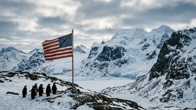 Trump Sebarkan Gambar AI Penguin di Greenland, Ini Faktanya